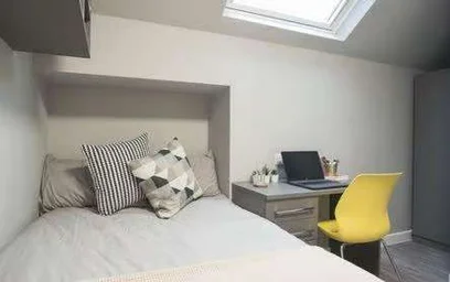 Bright private room in {area}