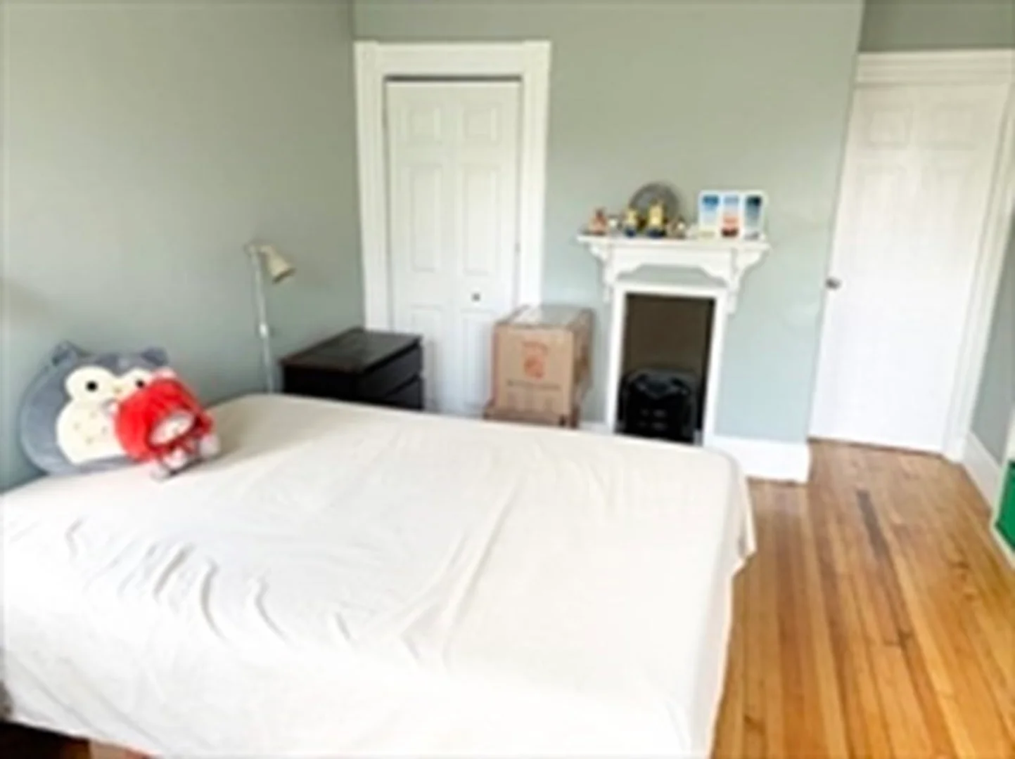 29A, Tremont St., Unit 3L, Kendall Square, Cambridge, MA, 02139