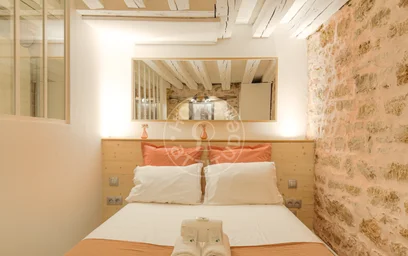 Logement entier à Rue Bourgelat, image 2 de 19