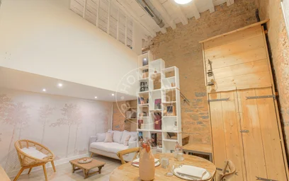 Logement entier à Rue Bourgelat, image 10 de 19