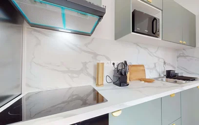 Prywatny pokój 286 Rue Pierre Legrand, 59800 Lille, France, obraz 13 17