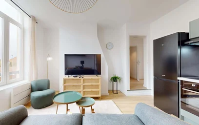 Prywatny pokój 286 Rue Pierre Legrand, 59800 Lille, France, obraz 16 17