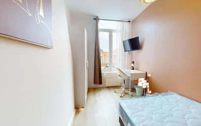 Prywatny pokój 286 Rue Pierre Legrand, 59800 Lille, France, obraz 5 17