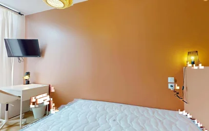 Prywatny pokój 286 Rue Pierre Legrand, 59800 Lille, France, obraz 7 17