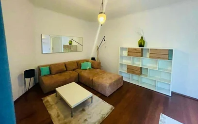 Entire fully furnished flat in {area}