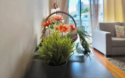 Apartamento inteiro em Rua da Olaria, imagem 10 de 29