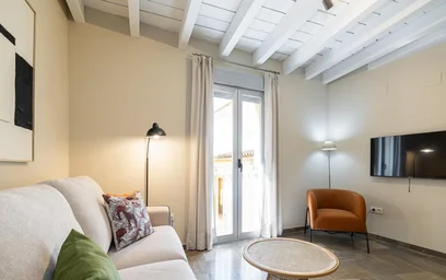 Appartamento intero in Calle Piedra Santa 19, immagine 2 di 25
