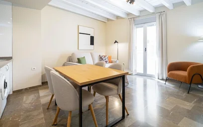 Appartamento intero in Calle Piedra Santa 19, immagine 3 di 25