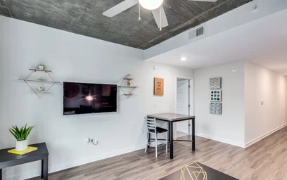 Appartamento intero in residence in 120 Piedmont Ave NE, Atlanta, GA 30303, United States, immagine 3 di 47