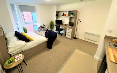Estúdio em residência em 1 North St, Stoke-on-Trent ST4 7FA, United Kingdom, imagem 15 de 20