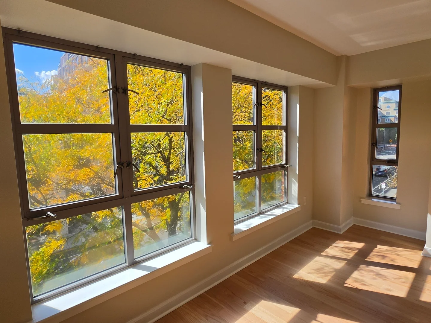 931, Massachusetts Ave., Unit 303, Harvard Square, Cambridge, MA, 02139