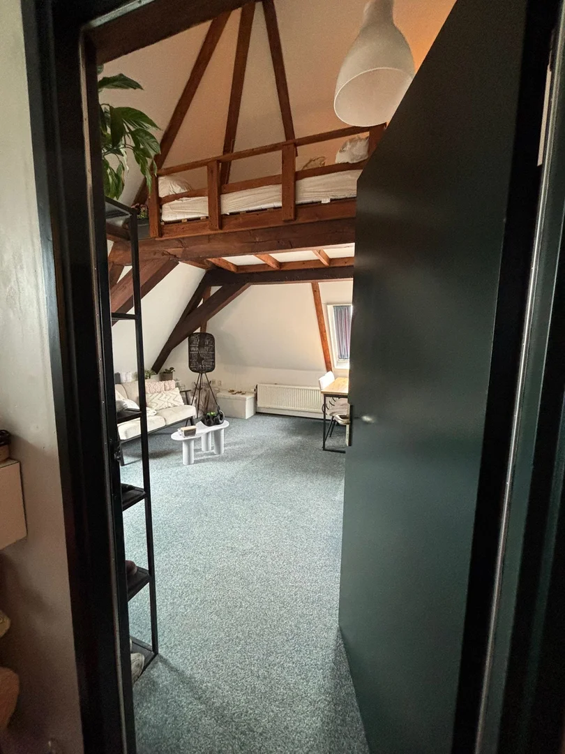Quarto de estudante funcional perfeito para estudar em 