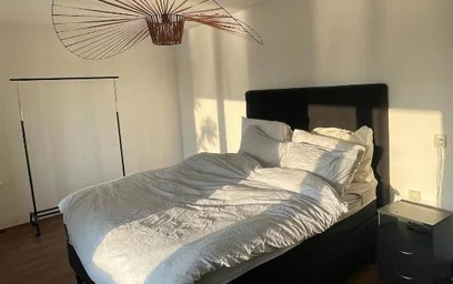 Entire fully furnished flat in {area}
