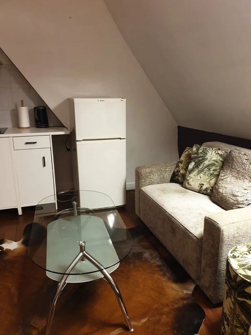 Habitación estudiantil amplia y cómoda en 