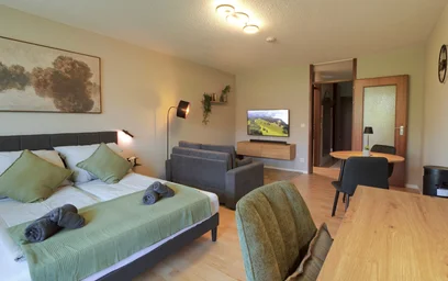 Room for rent in a shared flat in {area}