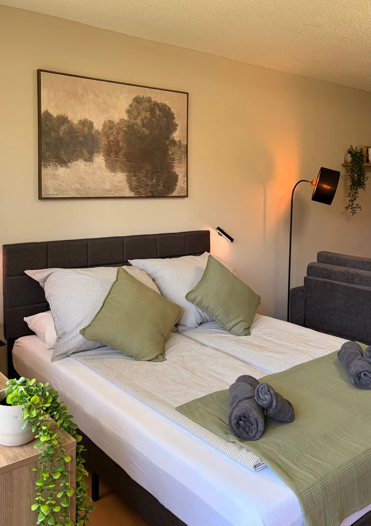 Cozy room for students available in