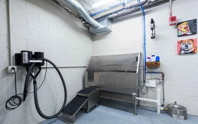 Apartamento inteiro em residência em 3333 Forbes Ave, Pittsburgh, PA 15213, United States, imagem 48 de 49