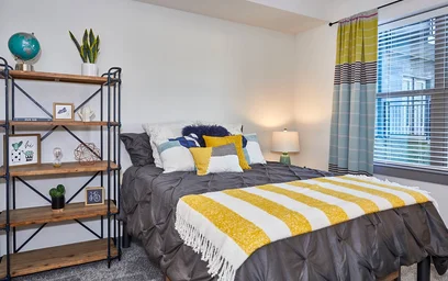 Accommodation in the centre of {area}