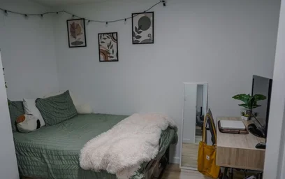 Alojamiento entero en residencia en 512 S 3rd St, Champaign, IL 61820, United States, imagen 42 de 49