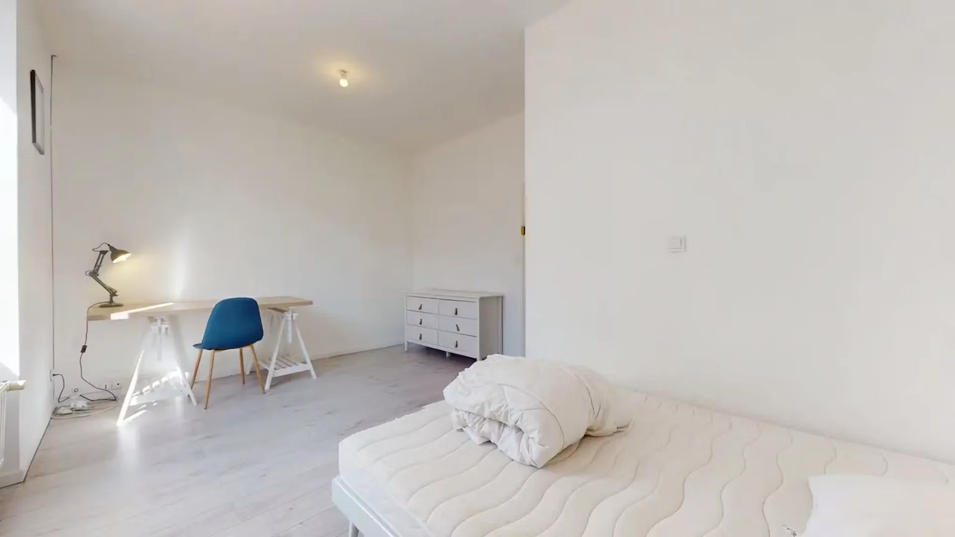 Camera accogliente per studenti disponibile a 