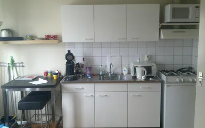 Gesamte Unterkunft in der Elias Vonckstraat, bild 5 von 8