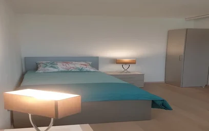 整套公寓 在 Ruđera Boškovića 11, 15的图像15