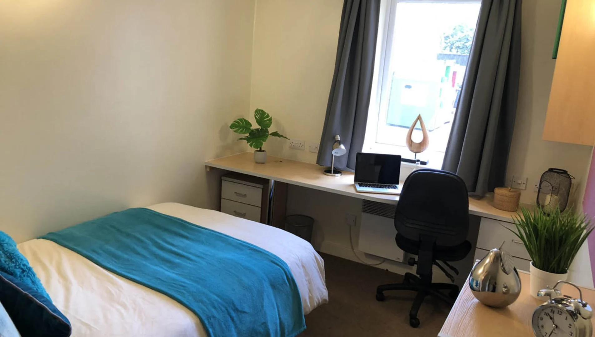 Comfortable and spacious student room in