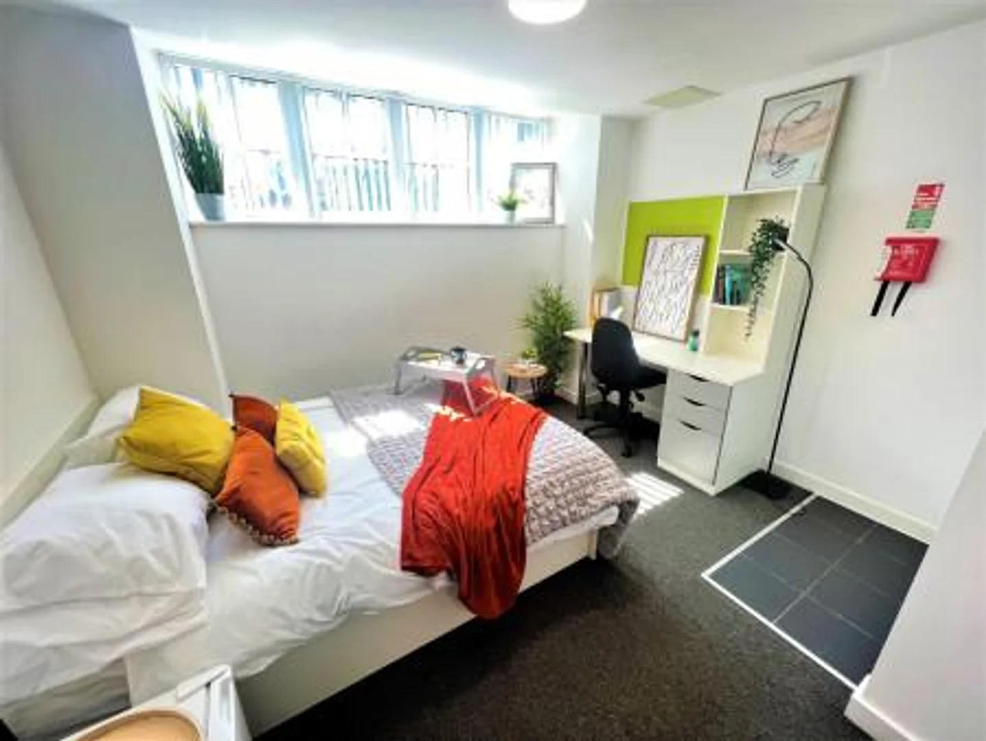 Cómodo estudio para vivir como estudiante en