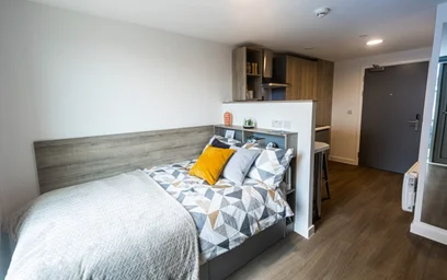 Özel oda Ikamet yerinde konumu Albany Student Village, Albany Rd, Earlsdon, Coventry CV5 6JR, United Kingdom, 8 49 görüntüsü