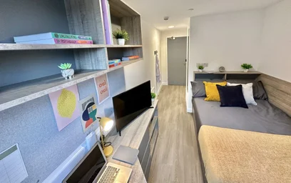 Özel oda Ikamet yerinde konumu Albany Student Village, Albany Rd, Earlsdon, Coventry CV5 6JR, United Kingdom, 44 49 görüntüsü