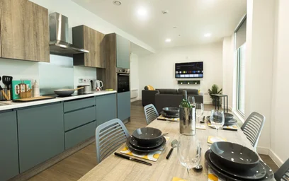 Özel oda Ikamet yerinde konumu Albany Student Village, Albany Rd, Earlsdon, Coventry CV5 6JR, United Kingdom, 17 49 görüntüsü