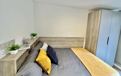 Özel oda Ikamet yerinde konumu Albany Student Village, Albany Rd, Earlsdon, Coventry CV5 6JR, United Kingdom, 45 49 görüntüsü