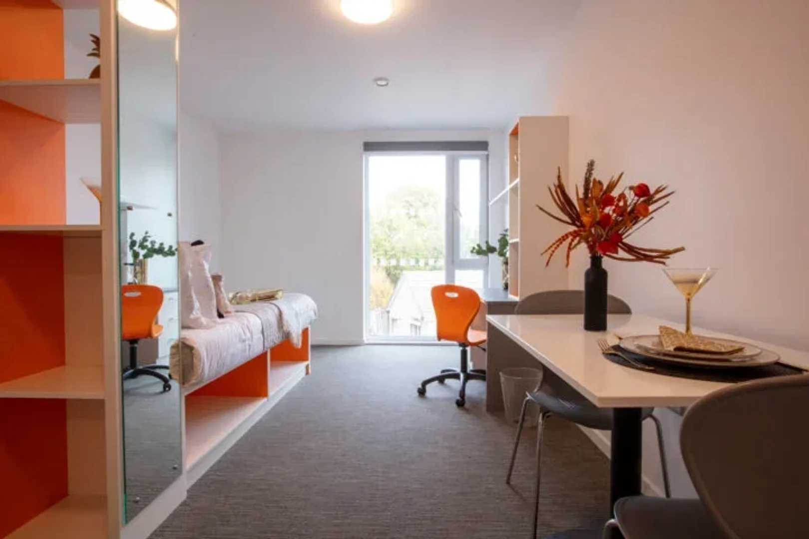 Studio moderne pour étudiants avec toutes les commodités dans 