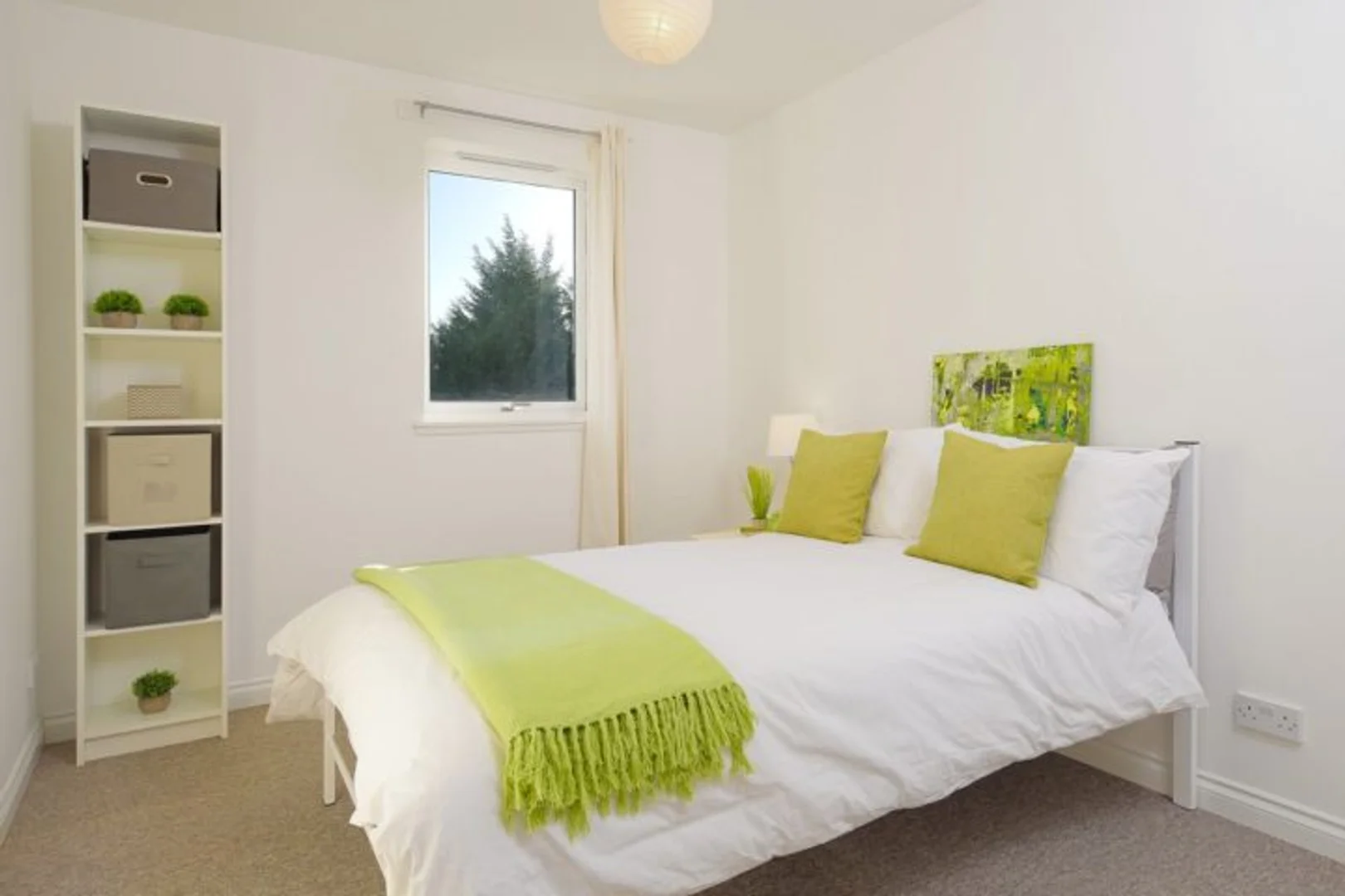 9 Pittodrie St, Aberdeen AB24 5QU, United Kingdom