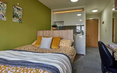 Great studio apartment in {area}