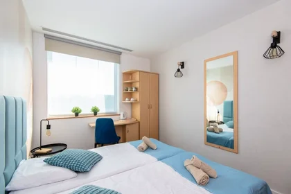 Entire apartment at Lechicka, Stare Miasto, image 7 of 10