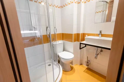 Entire apartment at Lechicka, Stare Miasto, image 9 of 10