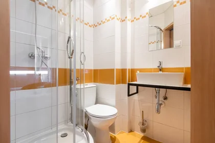 Entire apartment at Lechicka, Stare Miasto, image 10 of 10