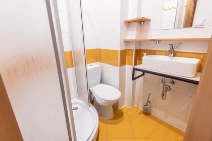 Entire apartment at Lechicka, Stare Miasto, image 9 of 9