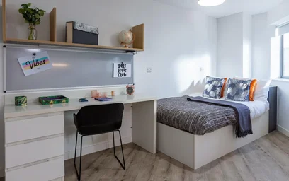 Stylish studio in {area}