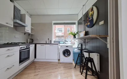 Stanza privata in Rhijnvis Feithstraat, Nieuw Engeland, immagine 5 di 10