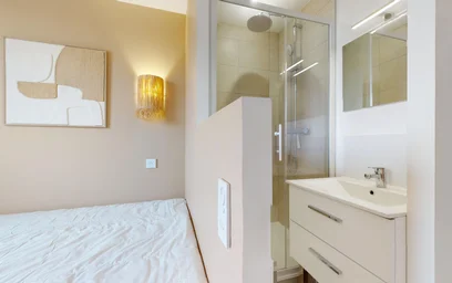Stanza privata in 382 rue garibaldi, immagine 17 di 18