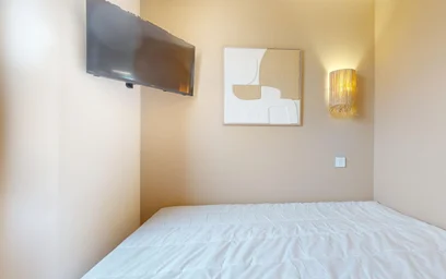 Stanza privata in 382 rue garibaldi, immagine 16 di 18
