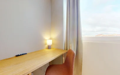 Stanza privata in 382 rue garibaldi, immagine 15 di 18