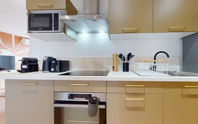 Stanza privata in 382 rue garibaldi, immagine 8 di 18