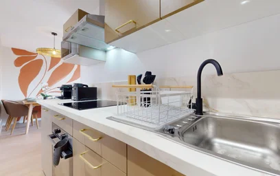 Stanza privata in 382 rue garibaldi, immagine 7 di 18