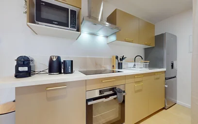 Stanza privata in 382 rue garibaldi, immagine 9 di 18