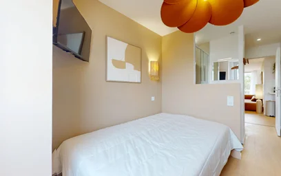 Stanza privata in 382 rue garibaldi, immagine 13 di 18