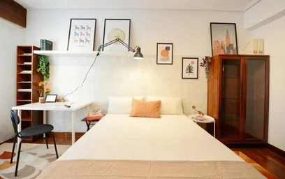 Quarto privado em Fika Kalea, 48006 Bilbo, Bizkaia, Spain, imagem 9 de 22