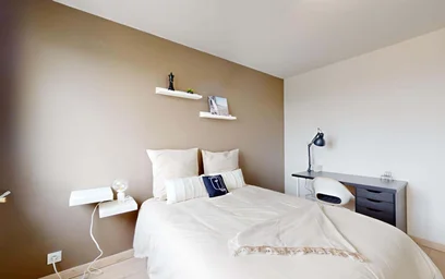 Habitación privada en 12 Rue Joachim du Bellay, 31100 Toulouse, France, imagen 3 de 24